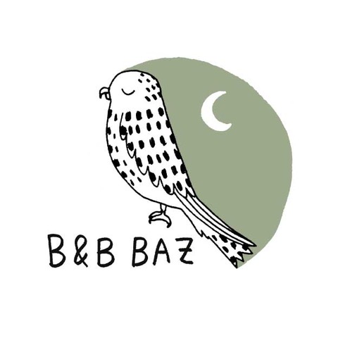 Pourquoi le nom BAZ